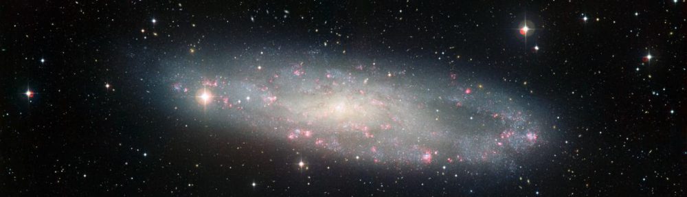 علی افضل صمدی